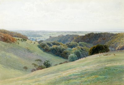 Arundel Castle from the Deer Park, Sussex by Henry Sutton Palmer